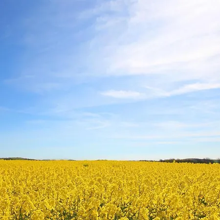 Haus Blick Zur 15 Mit Gratis Sauna- Und Schwimmbadnutzung Im Ahoi Sellin Goehren (Ruegen)